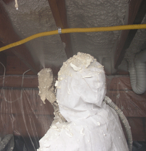 Charleston WV crawl space insulation